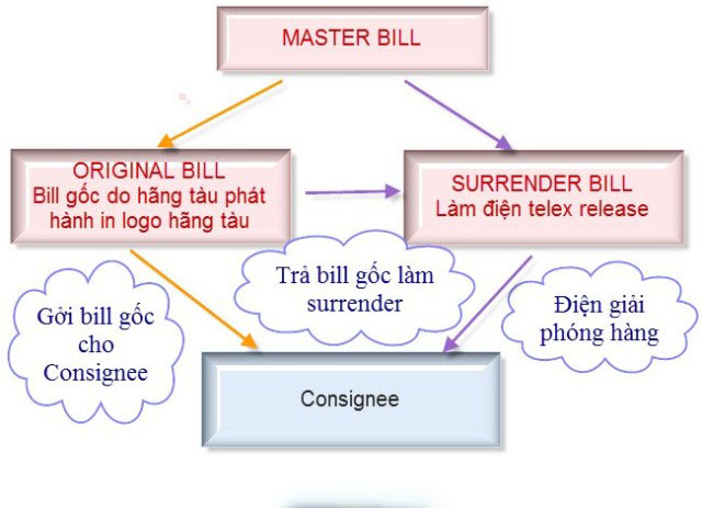 Bill surrender là gì?