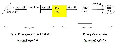 Tìm hiểu chi tiết về mô hình 3PL trong chuỗi cung ứng hiện nay